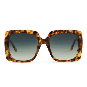 PATRICIA NASH - JACKIE   DUNMORE TORTOISE   G15 GRADIENT SUNGLASSES